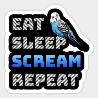 Eat Sleep Scream Repeat English Budgie Sticker